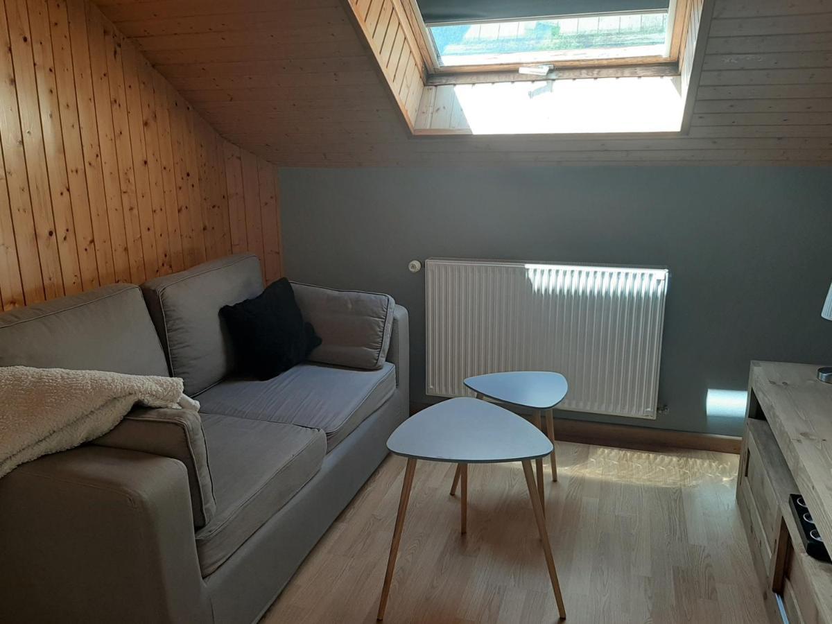 Charmant Appartement 2-4 Personnes Entre Annecy Et Aravis Thônes Exterior foto