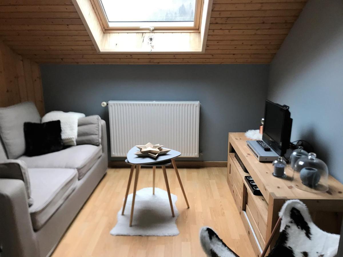Charmant Appartement 2-4 Personnes Entre Annecy Et Aravis Thônes Exterior foto